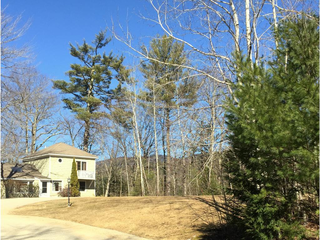 3 Whispering Brook Road, Unit 3 Bartlett, NH 03838 - Photo 10 of 36