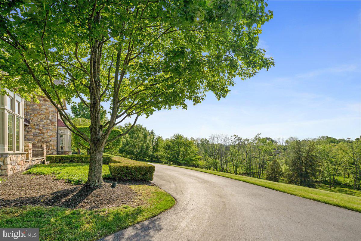 5980 Pidcock Creek Road New Hope, PA 18938 - Photo 8 of 50