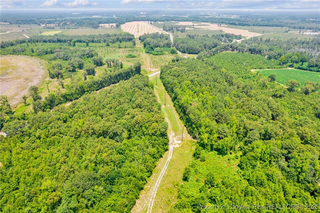 Seals Road Laurinburg, NC 28352 - Photo 16 of 21
