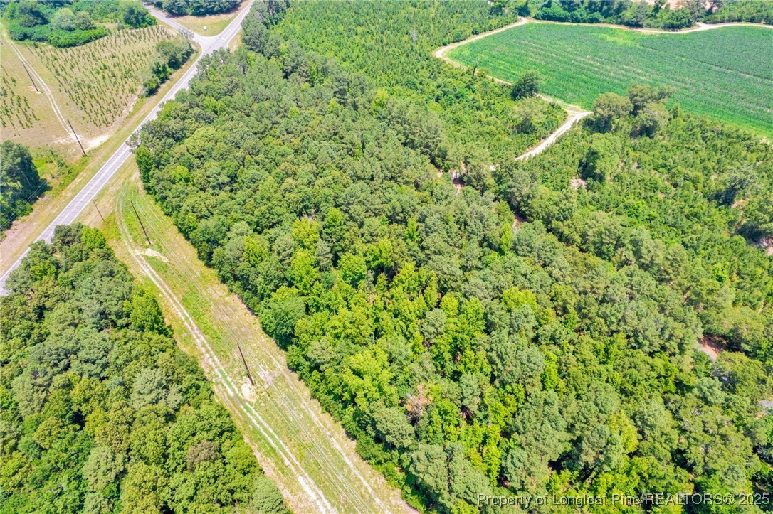 Seals Road Laurinburg, NC 28352 - Photo 17 of 21