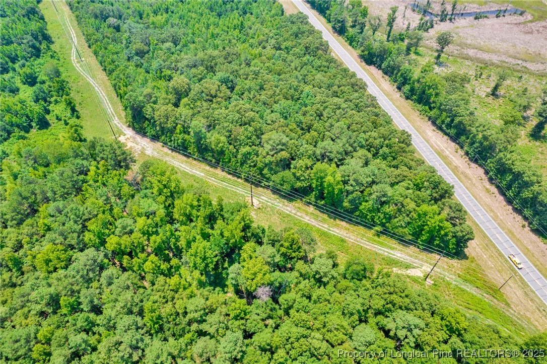 Seals Road Laurinburg, NC 28352 - Photo 18 of 21