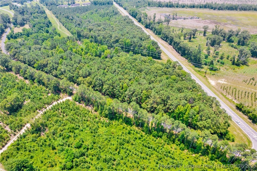 Seals Road Laurinburg, NC 28352 - Photo 19 of 21