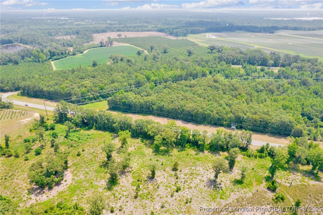 Seals Road Laurinburg, NC 28352 - Photo 20 of 21