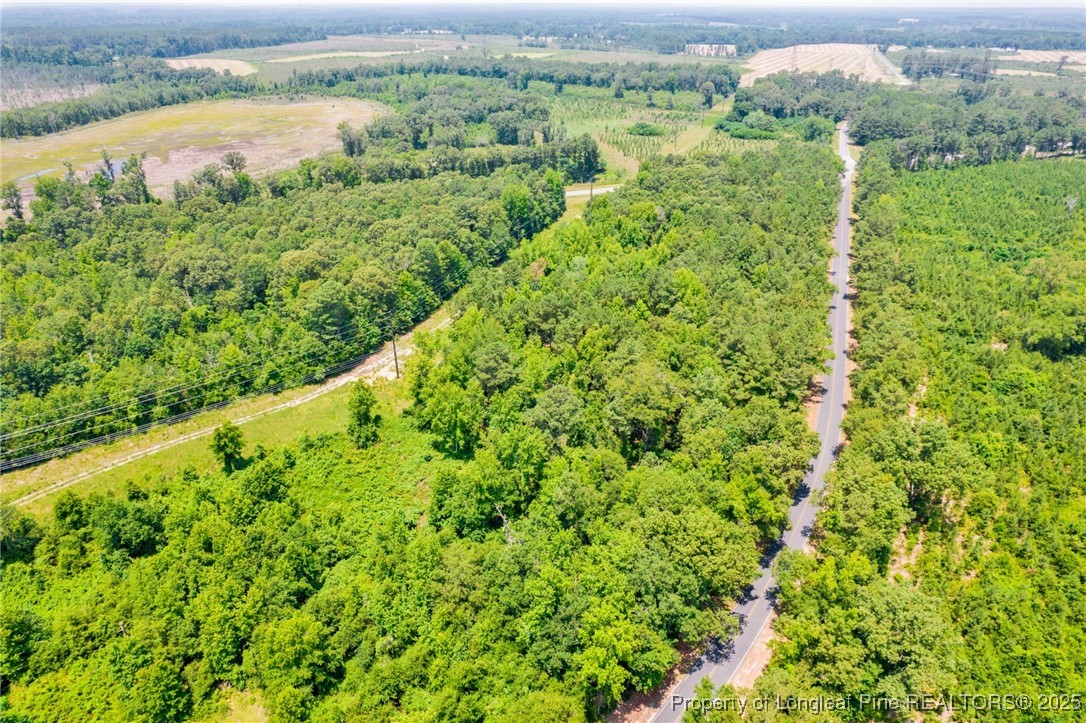 Seals Road Laurinburg, NC 28352 - Photo 21 of 21