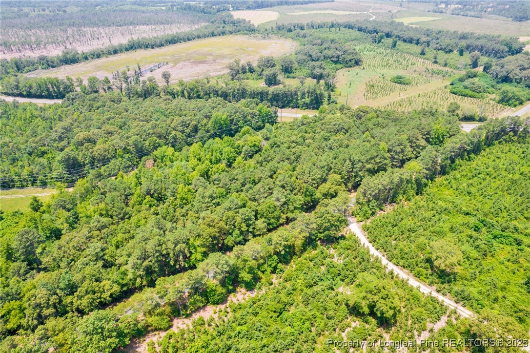 Seals Road Laurinburg, NC 28352 - Photo 6 of 21