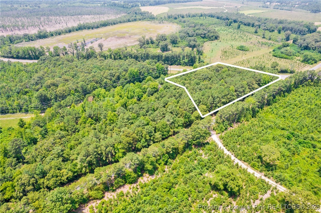 Seals Road Laurinburg, NC 28352 - Photo 7 of 21