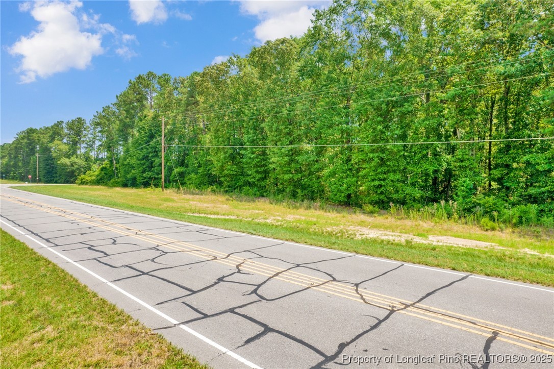 Seals Road Laurinburg, NC 28352 - Photo 8 of 21