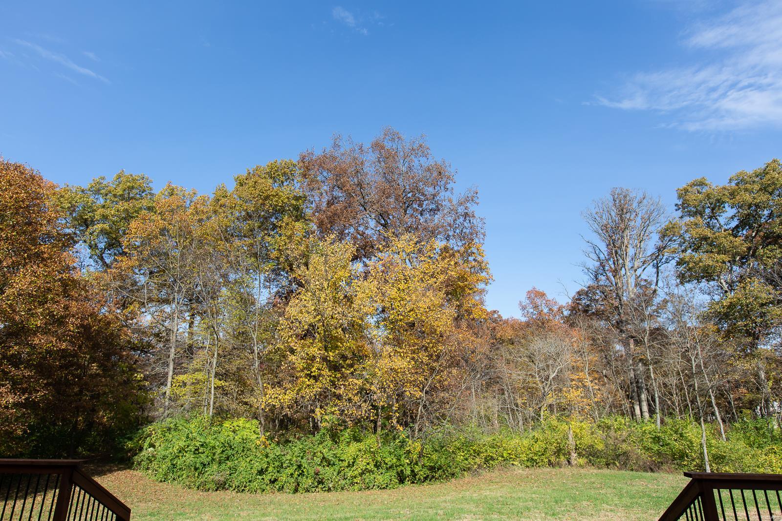 1077 Meadowsong Road Lebanon, IL 62254 - Photo 48 of 52