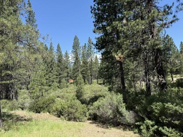 Lot 13 Haul Road McCloud, CA 96057 - Photo 5 of 8 Baker 6