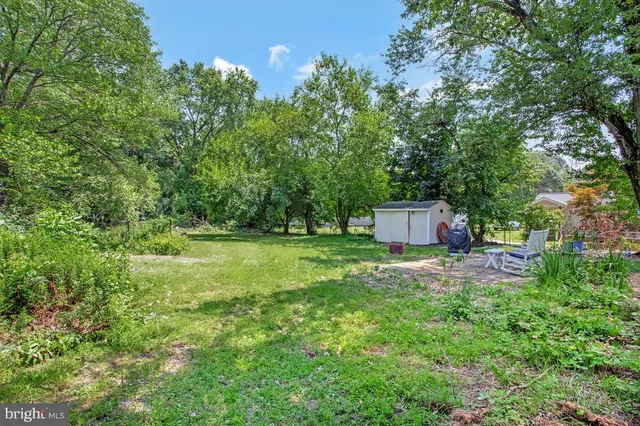 a view of a yard with plants and a trees