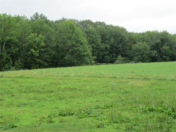 97 Baldwinville Road Templeton, MA 01468 - Photo 12 of 17 Gallery Image 12