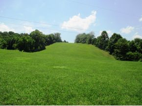 Tbd Bear Hollow Road Elizabethton, TN 37643 - Photo 1 of 8 Photo 1