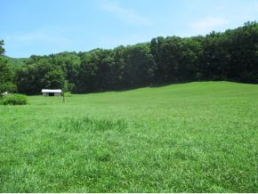 Tbd Bear Hollow Road Elizabethton, TN 37643 - Photo 2 of 8 Photo 2