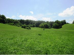 Tbd Bear Hollow Road Elizabethton, TN 37643 - Photo 3 of 8 Photo 3
