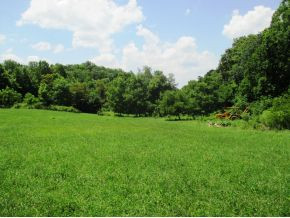 Tbd Bear Hollow Road Elizabethton, TN 37643 - Photo 5 of 8 Photo 5