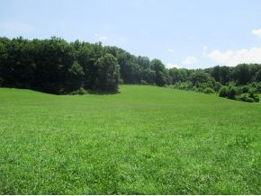 Tbd Bear Hollow Road Elizabethton, TN 37643 - Photo 6 of 8 Photo 6