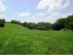 Tbd Bear Hollow Road Elizabethton, TN 37643 - Photo 7 of 8 Photo 7