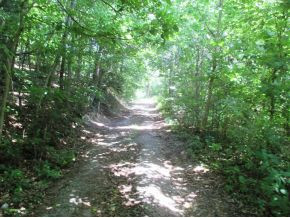 Tbd Bear Hollow Road Elizabethton, TN 37643 - Photo 8 of 8 Photo 8