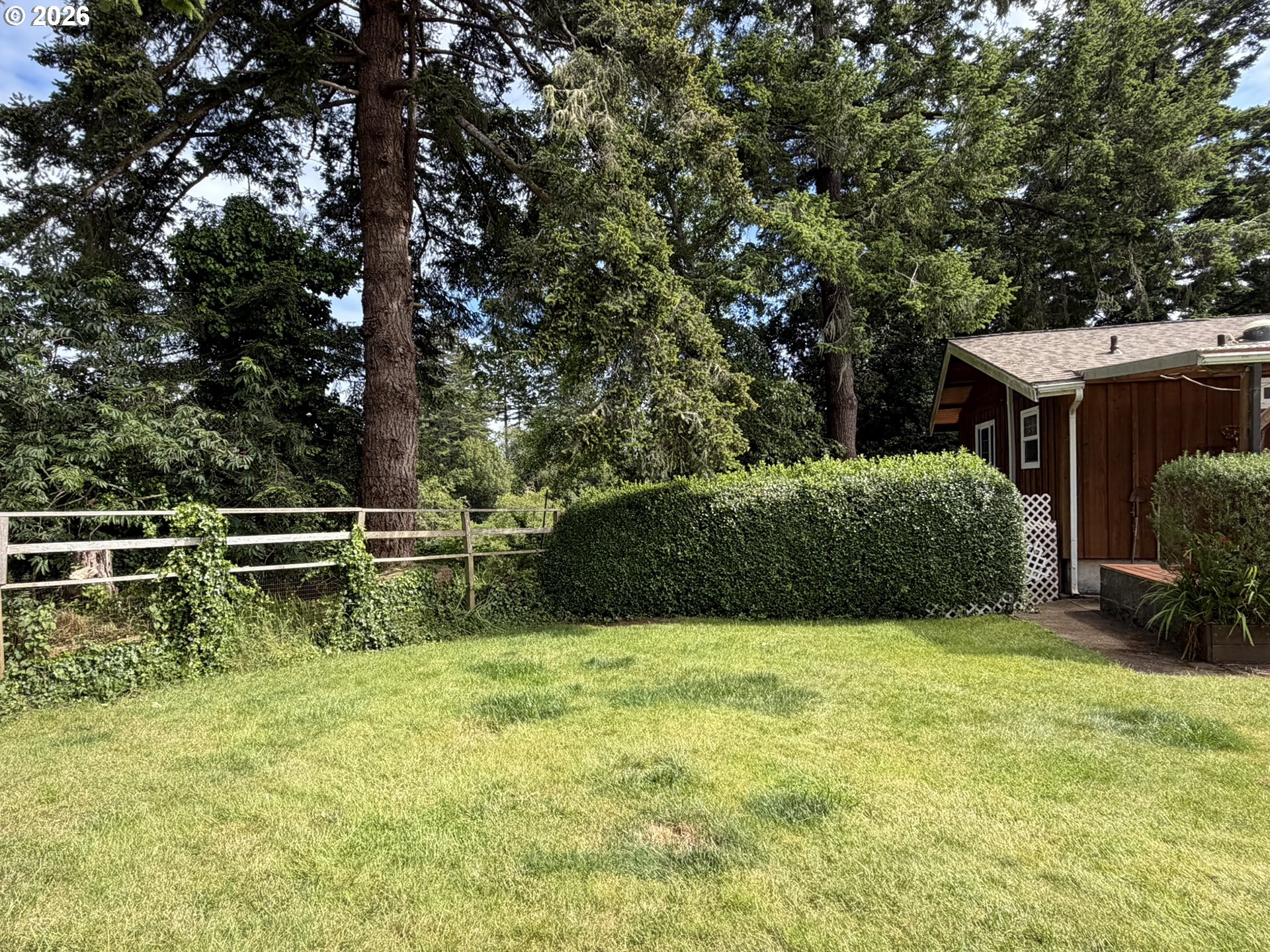 1372 Hampton Road Brookings, OR 97415 - Photo 39 of 42 a view of backyard with green space
