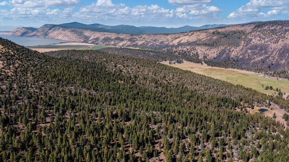 Lot 26 Simpson Canyon Road Klamath Falls, OR 97601 - Photo 22 of 33 SimpsonCanyonLand-21
