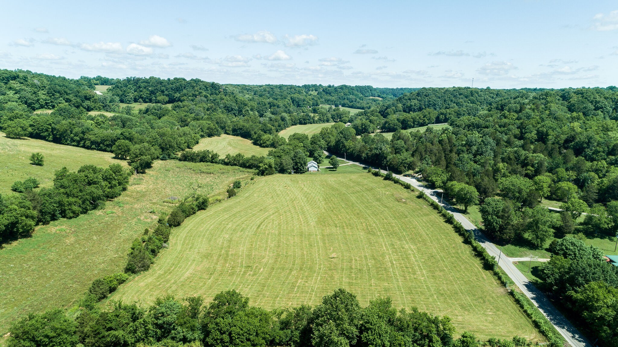 0 Fly Road Santa Fe, TN 38482 - Photo 8 of 15 a view of a big yard with plants and large trees