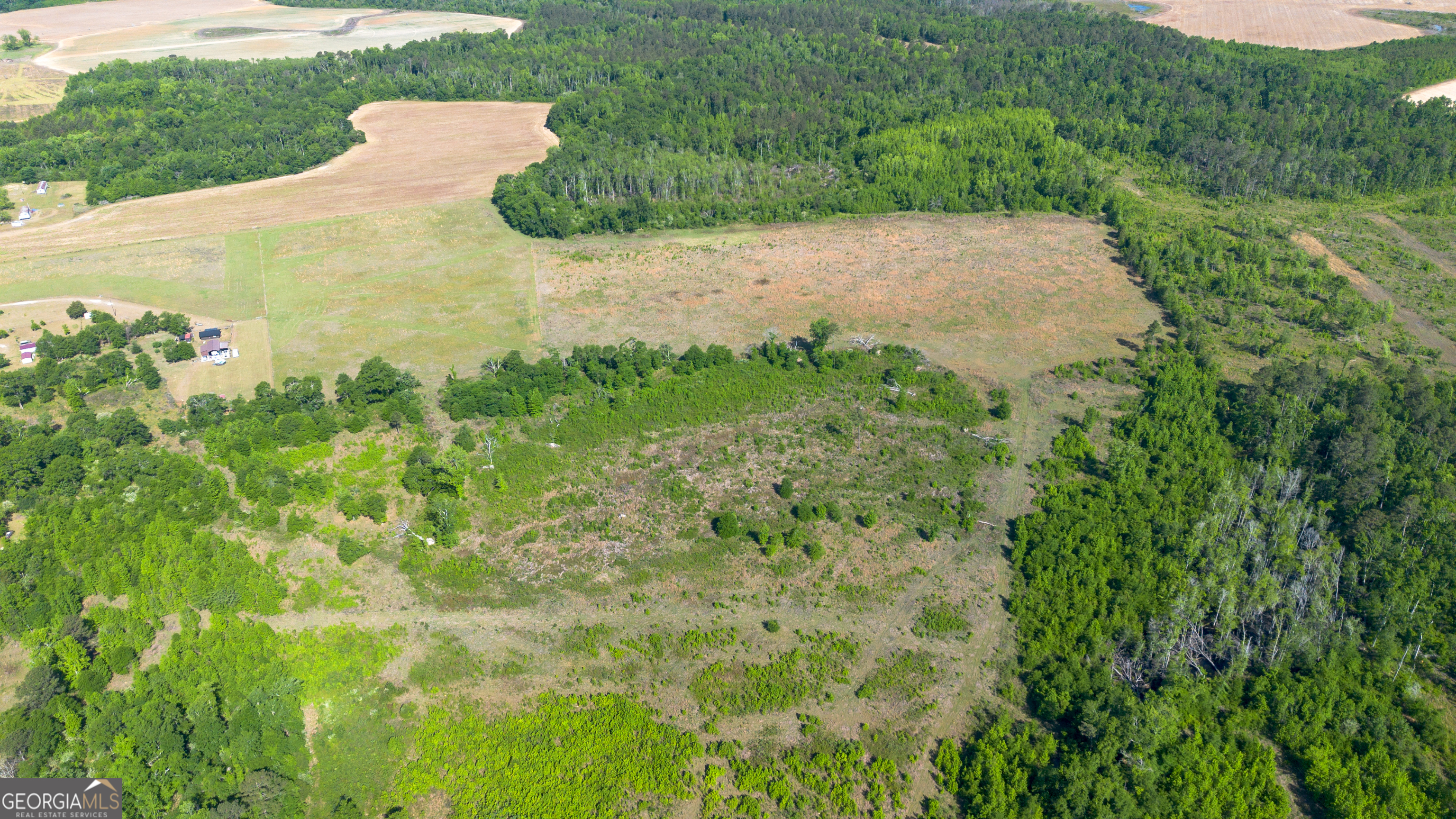 0 Scotts Store Road Millen, GA 30442 - Photo 8 of 13 Gallery Image 8