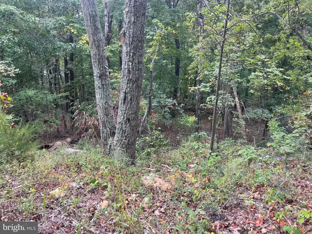 $55,000 | Lot 41 Panorama View, Stanley, VA 22851
