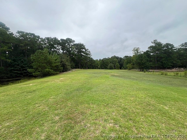 3826 Benson Hardee Road Benson, NC 27504 - Photo 44 of 47 Gallery Image 44