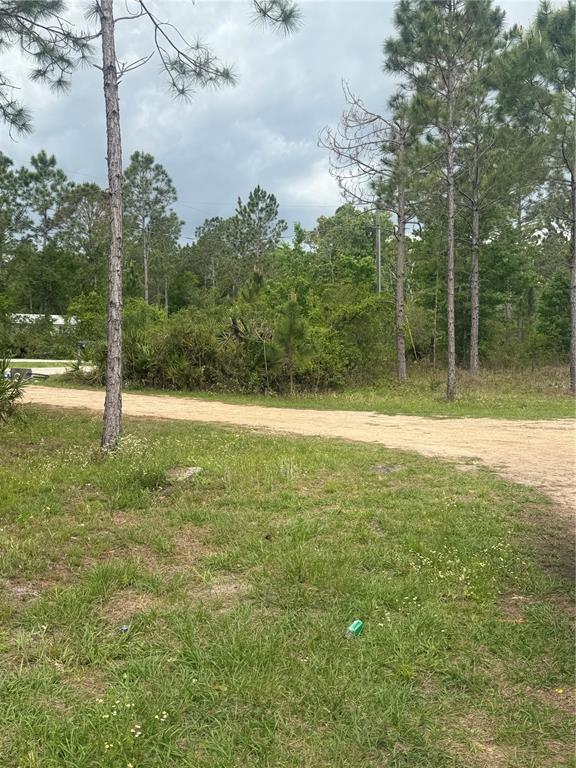 6505 Oil Well Road Clermont, FL 34714 - Photo 30 of 30 a view of outdoor space with a lake view