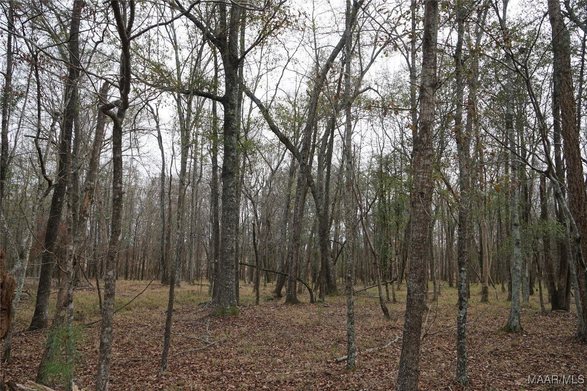 2434 Peake Road Ramer, AL 36069 - Photo 6 of 24 Gallery Image 6