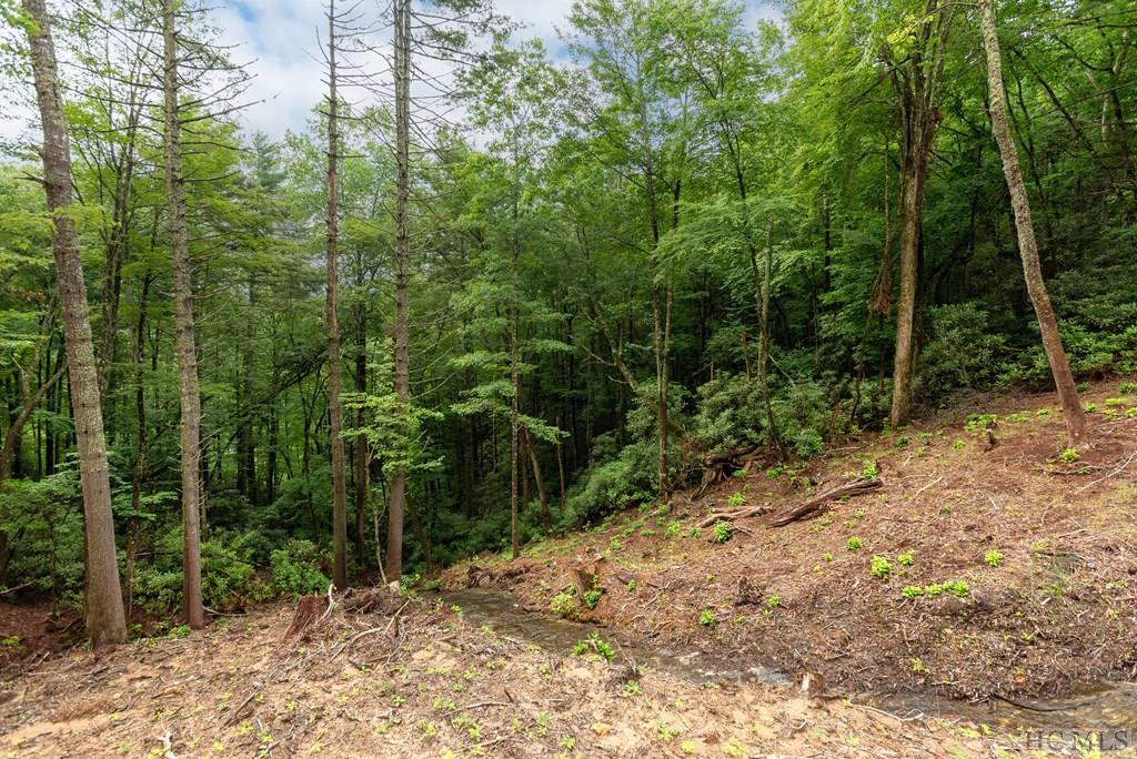 Lot 2 Sapphire Ridge Road Sapphire, NC 28774 - Photo 18 of 42 Gallery Image 18