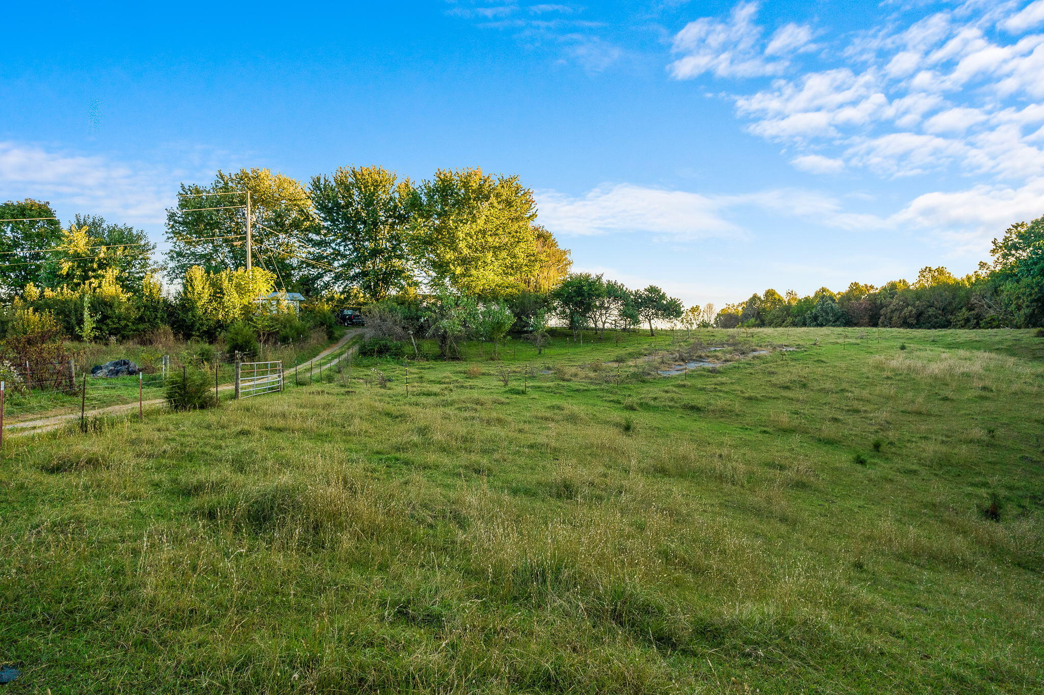277 Morrison Road Chuckey, TN 37641 - Photo 3 of 29 21-web-or-mls-Morrison Rd 21