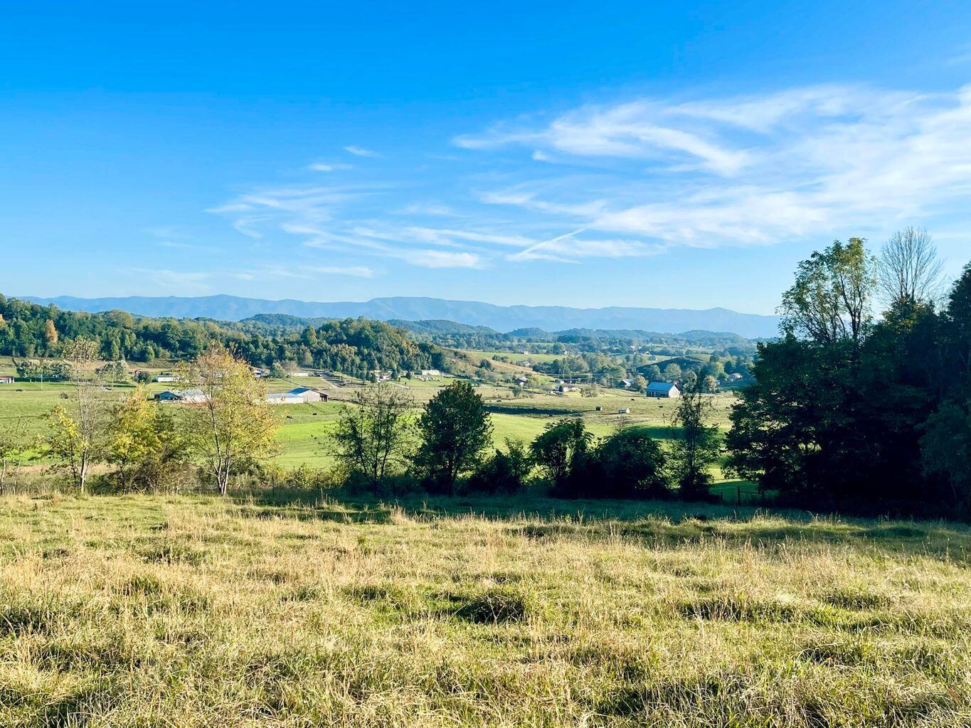 277 Morrison Road Chuckey, TN 37641 - Photo 7 of 29 20211021011551187450000000-o