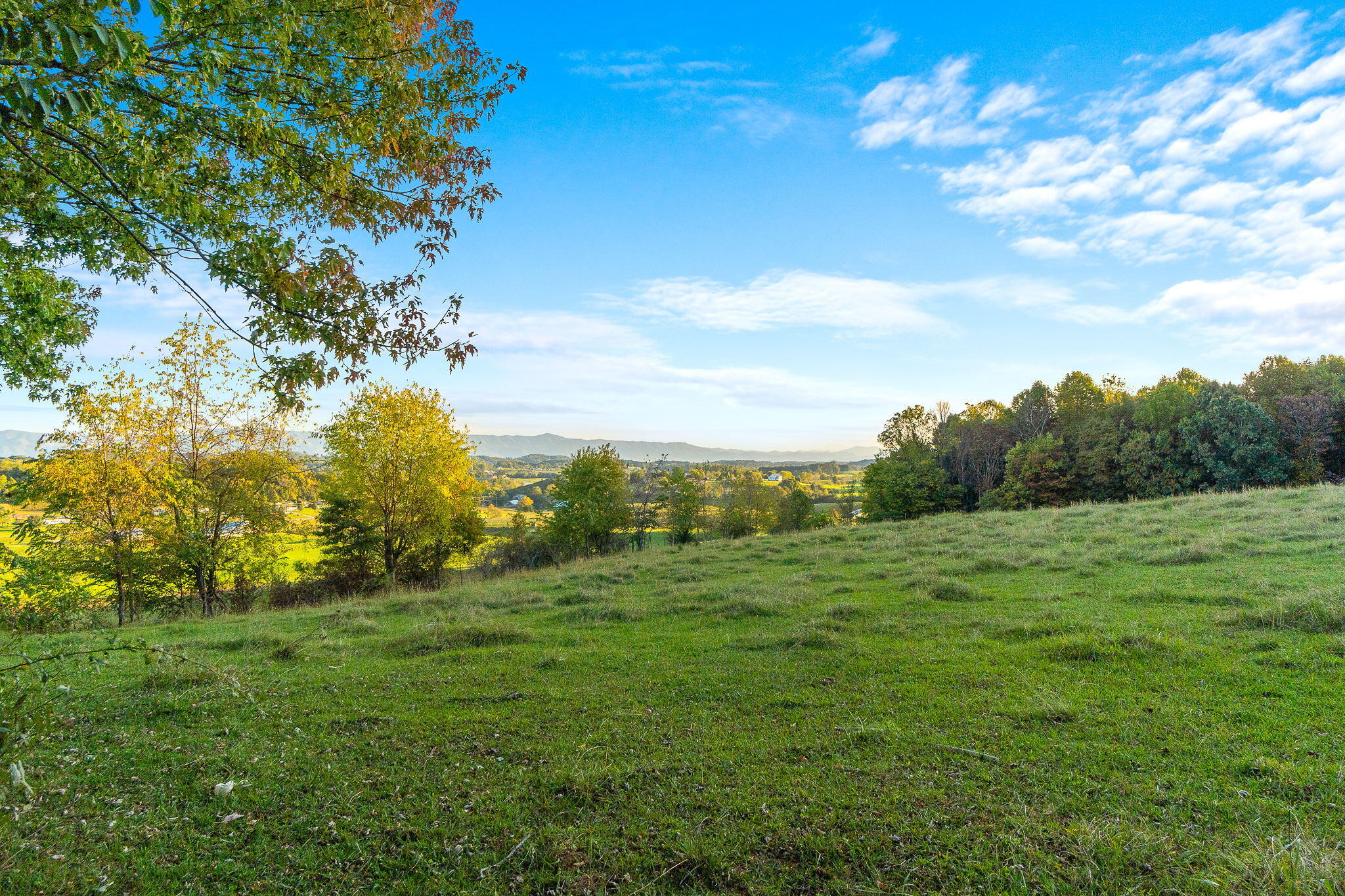 277 Morrison Road Chuckey, TN 37641 - Photo 10 of 29 27-web-or-mls-Morrison Rd 27