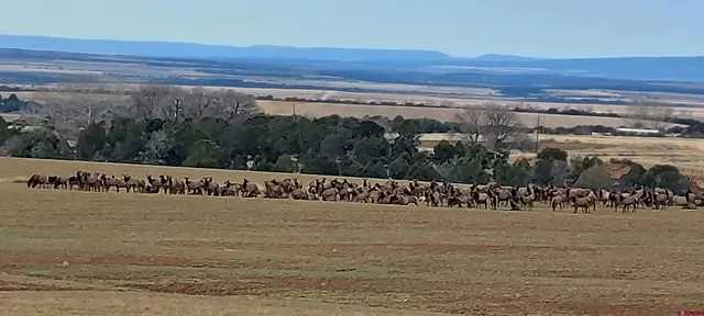 a view of a ocean with a mountain