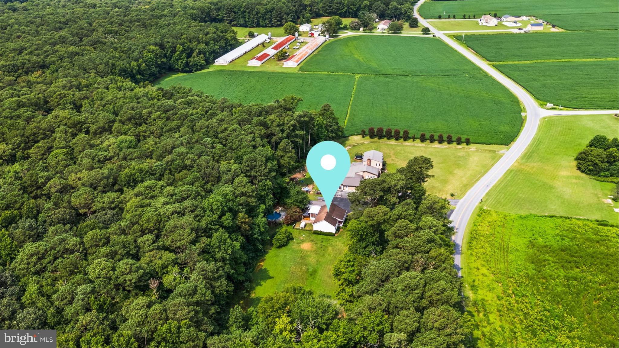 3520 Sheephouse Road Pocomoke City, MD 21851 - Photo 38 of 38 It's pretty quiet out here