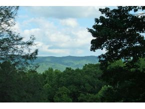 2056 Orchard Road Shady Valley, TN 37688 - Photo 12 of 12 Photo 12