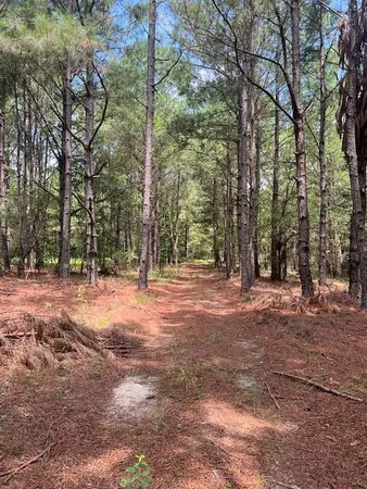 $385,000 | 3395 Gough Road, Louisville, GA 30434