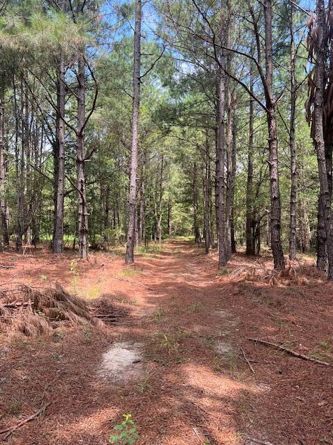 3395 Gough Road Louisville, GA 30434 - Photo 13 of 30 IMG_3346