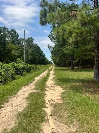 $385,000 | 3395 Gough Road, Louisville, GA 30434