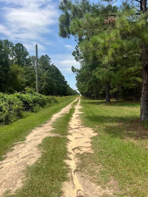 3395 Gough Road Louisville, GA 30434 - Photo 14 of 30 IMG_3345