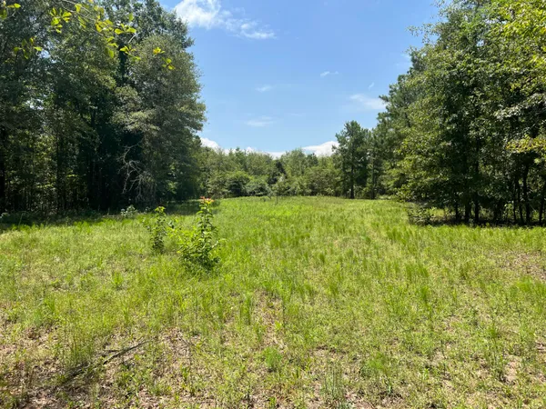 $385,000 | 3395 Gough Road, Louisville, GA 30434
