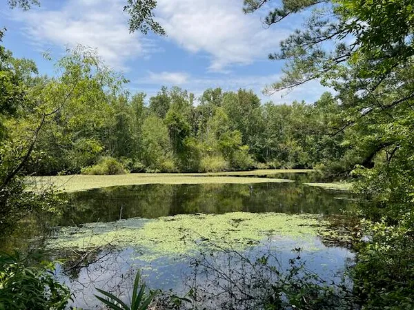 $385,000 | 3395 Gough Road, Louisville, GA 30434