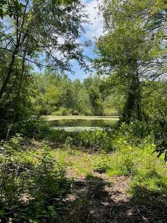 $385,000 | 3395 Gough Road, Louisville, GA 30434