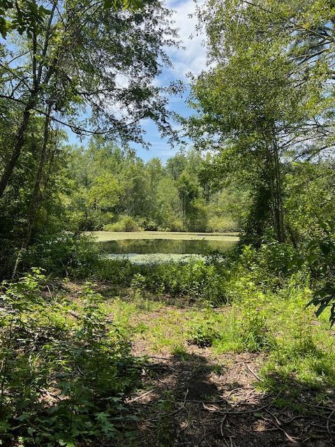 3395 Gough Road Louisville, GA 30434 - Photo 17 of 30 IMG_3355