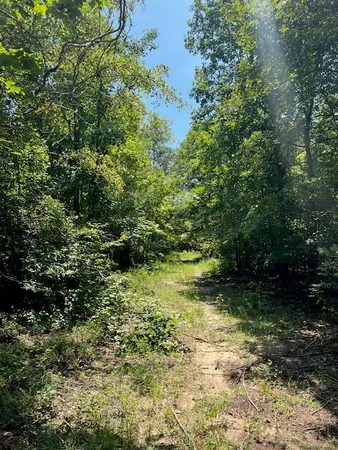 $385,000 | 3395 Gough Road, Louisville, GA 30434