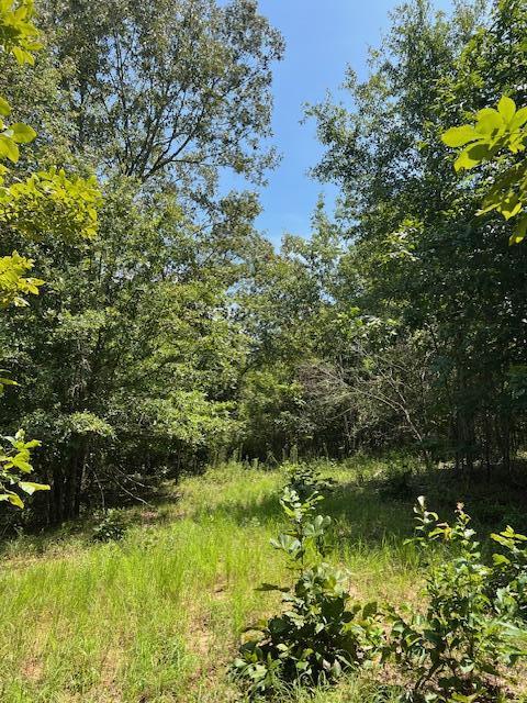 3395 Gough Road Louisville, GA 30434 - Photo 19 of 30 IMG_3352