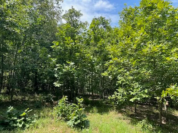 $385,000 | 3395 Gough Road, Louisville, GA 30434