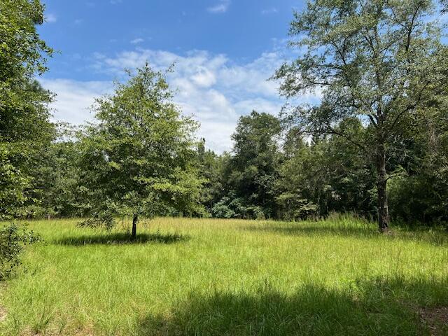 3395 Gough Road Louisville, GA 30434 - Photo 23 of 30 IMG_3348