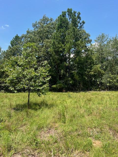 3395 Gough Road Louisville, GA 30434 - Photo 25 of 30 IMG_3364